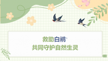 救助白鹇，共同守护天然生灵